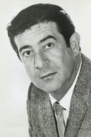 Harvey Lembeck as Harry Shapiro
