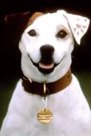 Soccer the Dog as Self (archive)