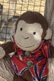Joe Monkey في دور Joe Monkey