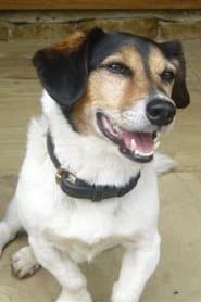 Strapper dans le rôle de Ray The Dog