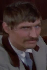 Bernard Farber as The Hitman