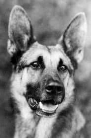 Strongheart في دور White Fang