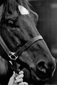 Docs Keepin Time في دور Black Beauty (horse)