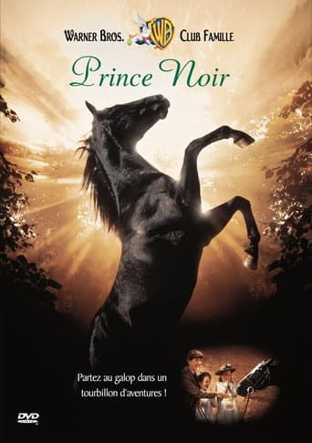 Affiche du film Black Beauty (1994)