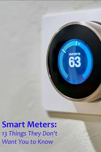 ملصق فيلم Smart Meters: 13 Things They Don't Want You to Know (2024)
