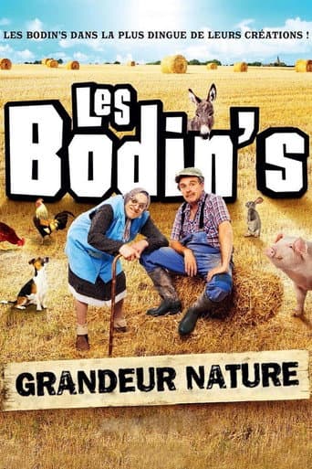 Les Bodin's : Grandeur Nature (@Zenith de Limoges) (2016) movie poster