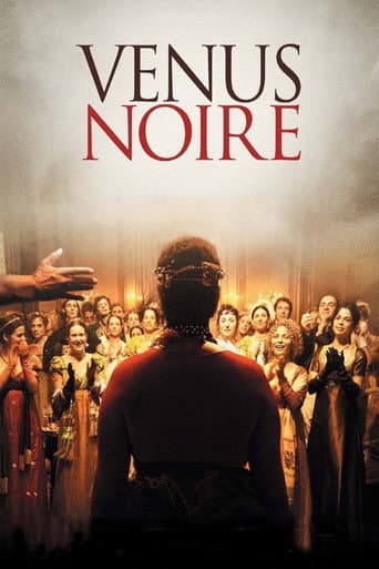 Affiche du film Vénus noire (2010)