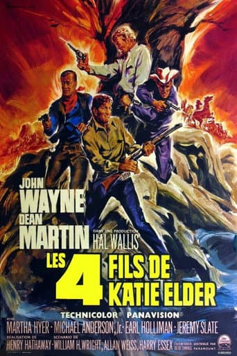 Affiche du film The Sons of Katie Elder (1965)