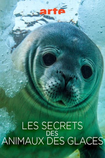 Affiche du film Les Secrets des Animaux des Glaces (2017)