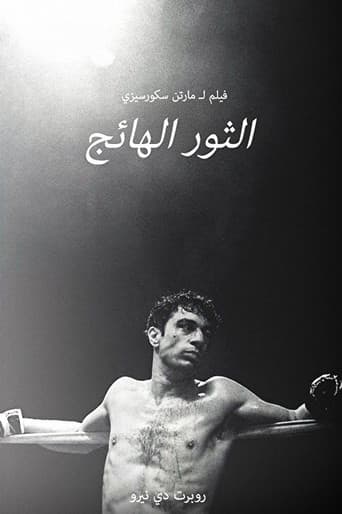 الثور الهائج