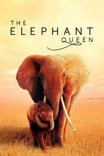 ملصق فيلم The Elephant Queen (2019)