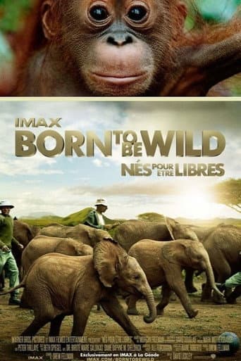 Affiche du film Born to Be Wild (2011)