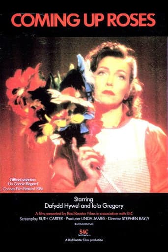 Rhosyn a Rhith (1987) movie poster