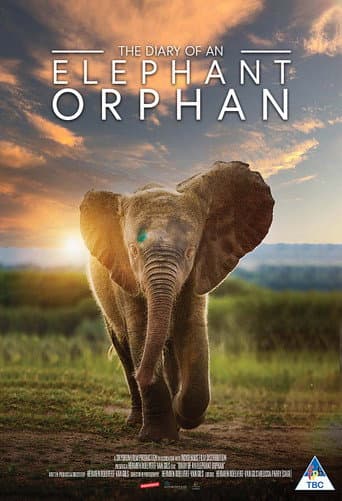 Diary of an Elephant Orphan (2025) movie poster