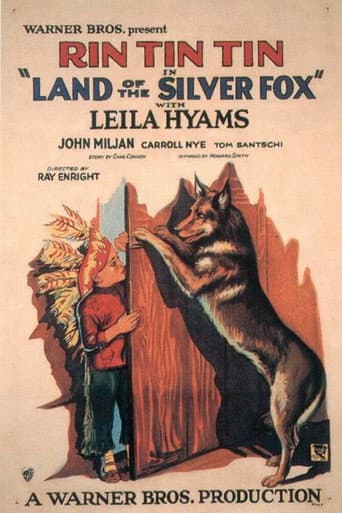 Land of the Silver Fox (1928) movie poster