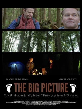 The Big Picture (2021) movie poster