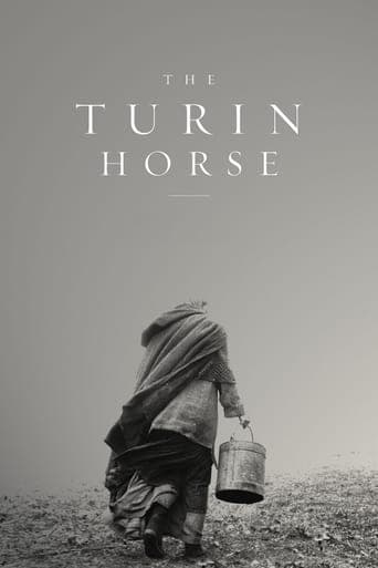 A torinói ló (2011) movie poster