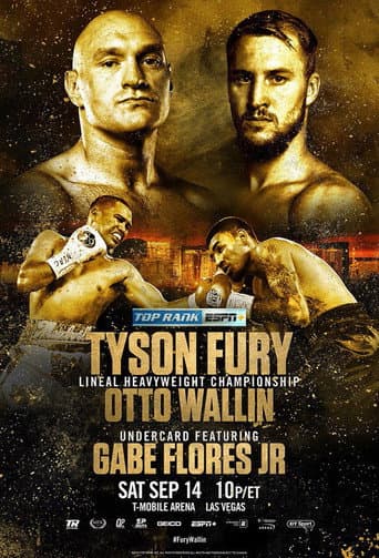 Tyson Fury vs. Otto Wallin (2019) movie poster