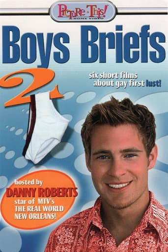 Boys Briefs 2 (2002) movie poster
