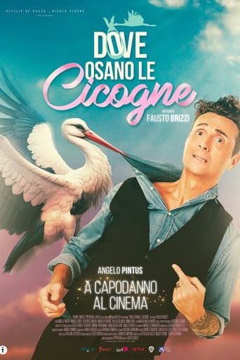 Dove osano le cicogne (2025) movie poster