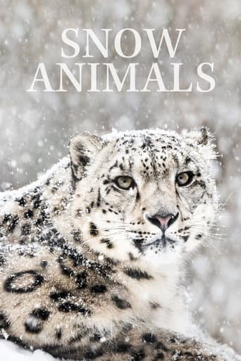 Affiche du film Snow Animals (2019)