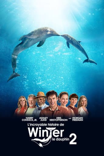 Affiche du film Dolphin Tale 2 (2014)