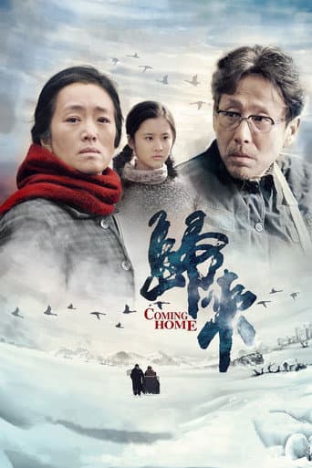 ملصق فيلم 归来 (2014)