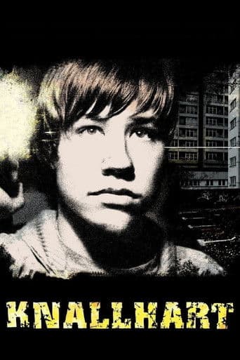Affiche du film Knallhart (2006)