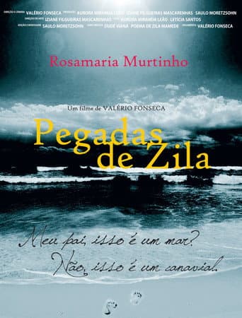 Pegadas de zila (2011) movie poster