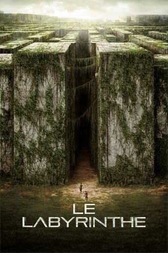 Affiche du film The Maze Runner (2014)