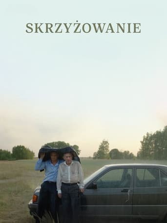 ملصق فيلم Skrzyżowanie (2025)