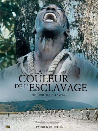 Affiche du film La Couleur de l'esclavage (2024)
