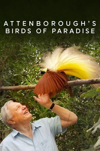 Birds of Paradise (2010) movie poster