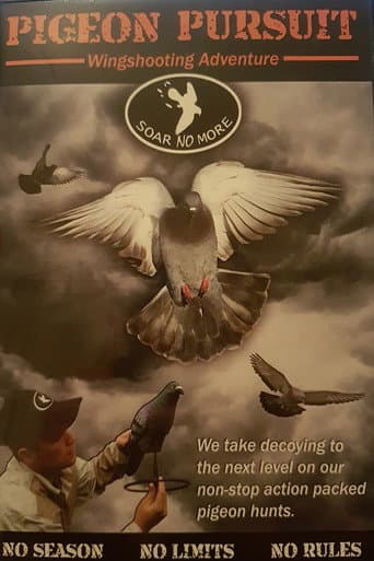 Pigeon Pursuit (2010) movie poster