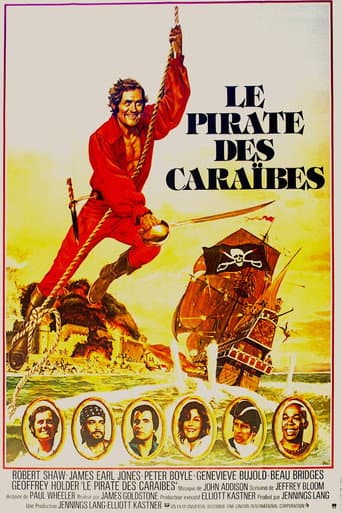 Affiche du film Swashbuckler (1976)