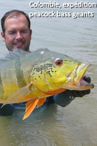 Colombie, expédition peacock bass geants (2019) movie poster