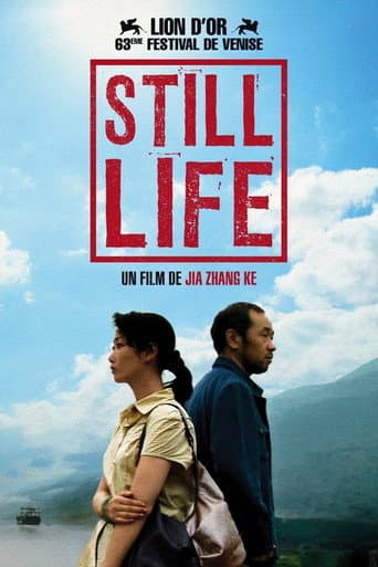 Affiche du film 三峡好人 (2006)