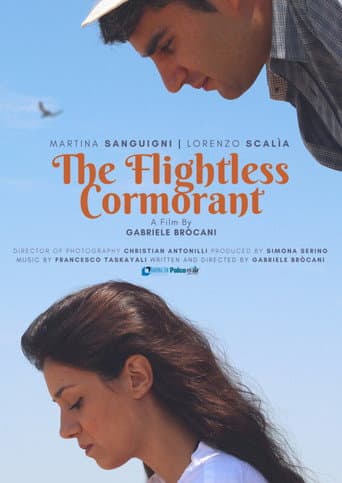 Mara dei Cormorani (2018) movie poster
