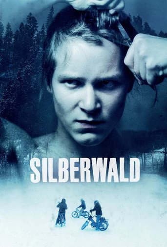 ملصق فيلم Silberwald (2011)