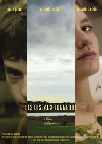 Affiche du film Les Oiseaux-tonnerre (2014)