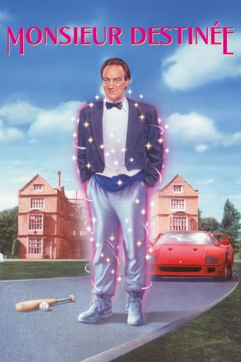 Affiche du film Mr. Destiny (1990)