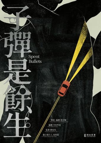 ملصق فيلم 子彈是餘生