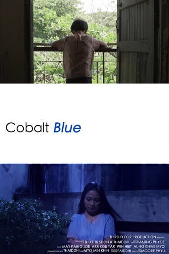 ပြာပြာညိုရောင် မှိုင်းတလဲ့လဲ့ (2019) movie poster