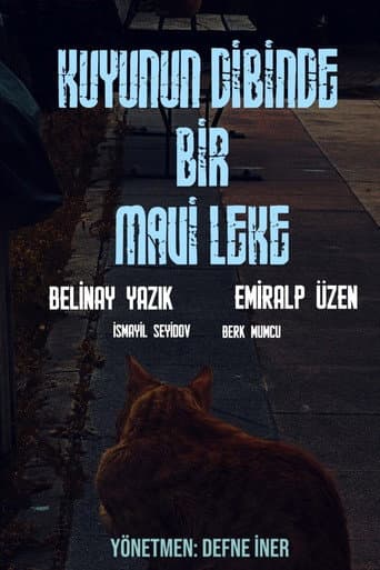 Kuyunun Dibinde Bir Mavi Leke (2026) movie poster