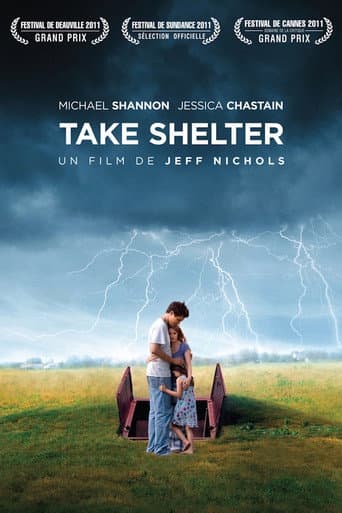 Affiche du film Take Shelter (2011)