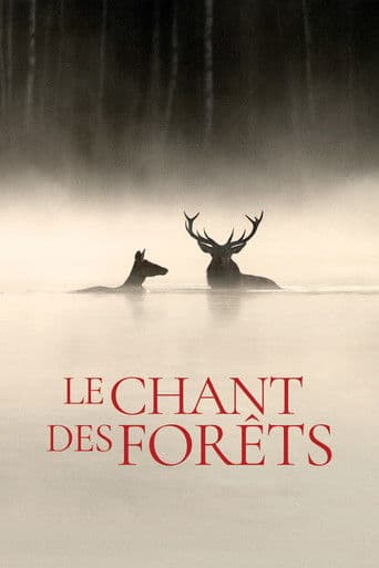 Affiche du film Le Chant des forêts (2025)