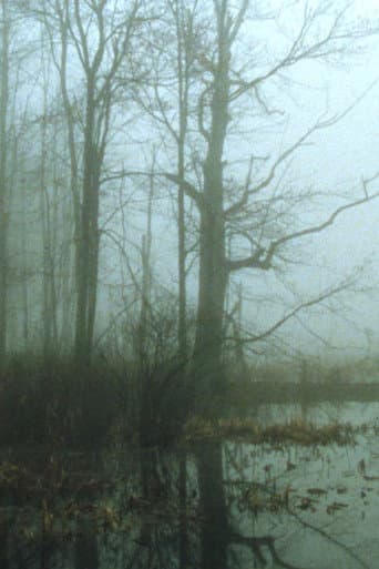 Affiche du film Early Spring Wetlands (2023)