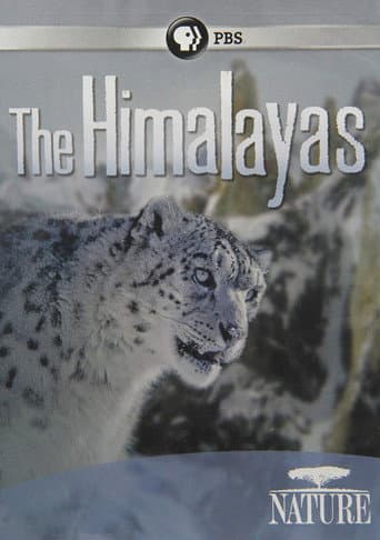 Affiche du film The Himalayas (2011)