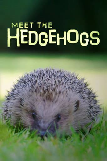 Affiche du film Meet the Hedgehogs (2017)