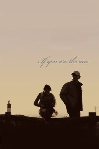 非诚勿扰 (2008) movie poster